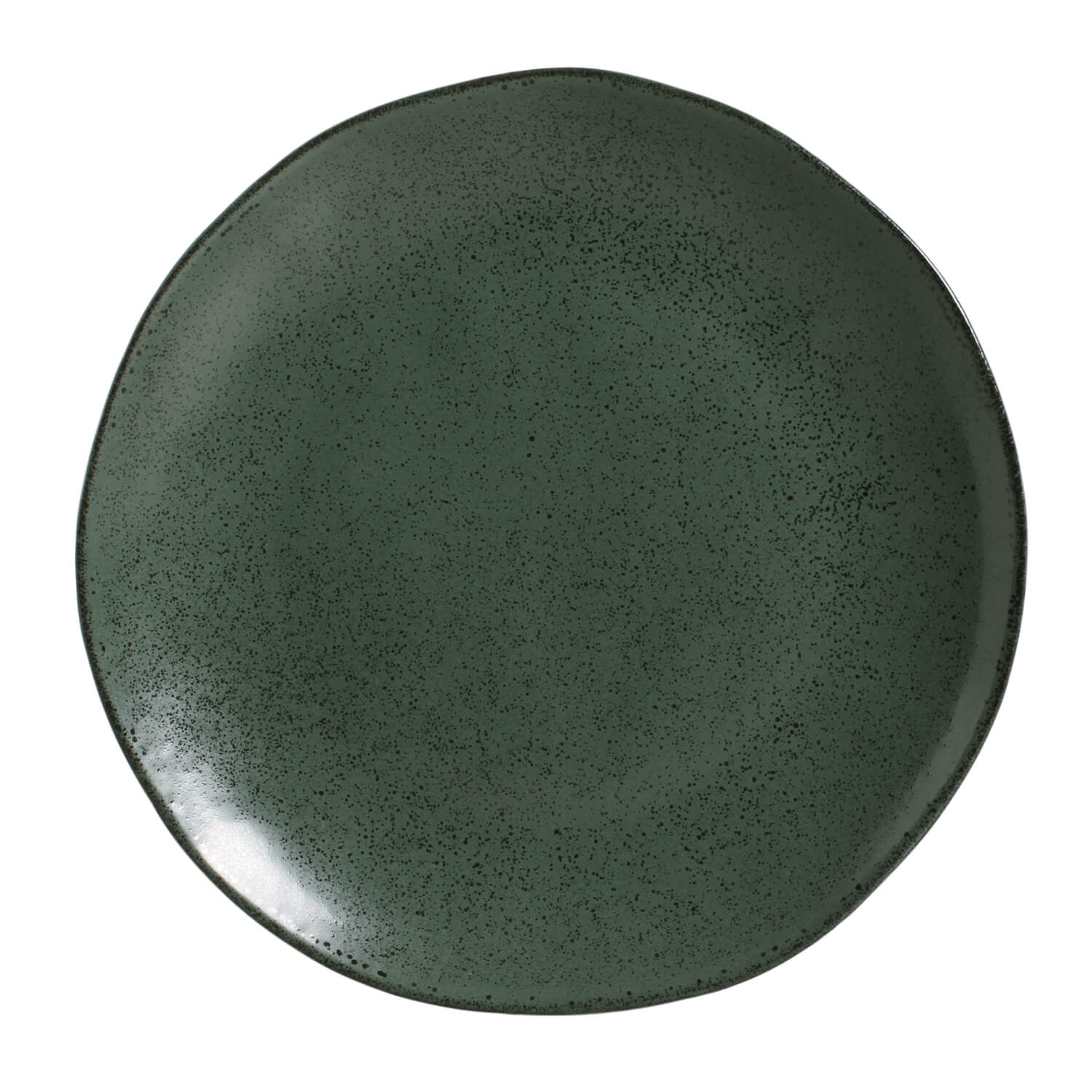 Organic Dinner Plate 26.5cm Arauco