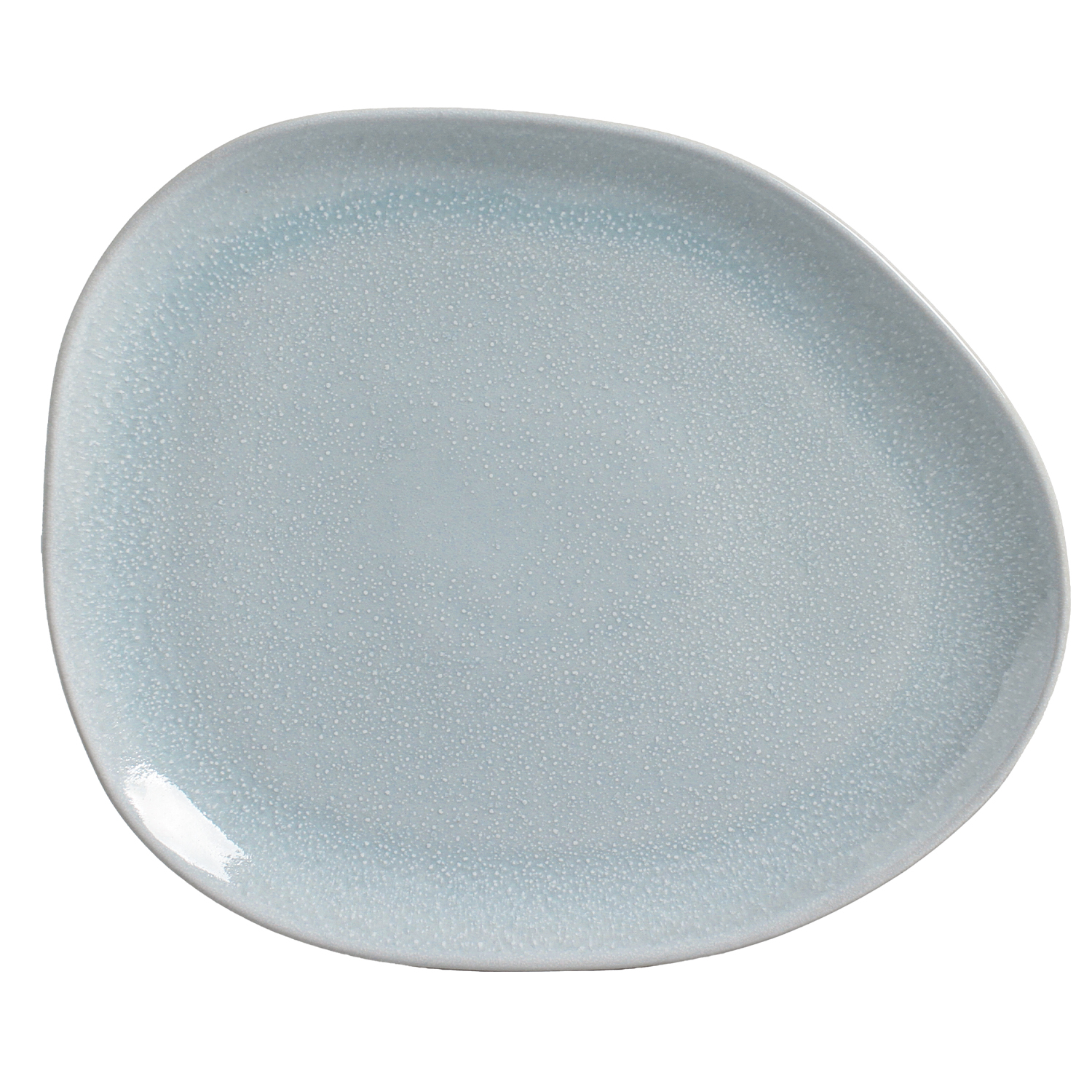 Organic Oval Dinner Plate 31cm Ceu