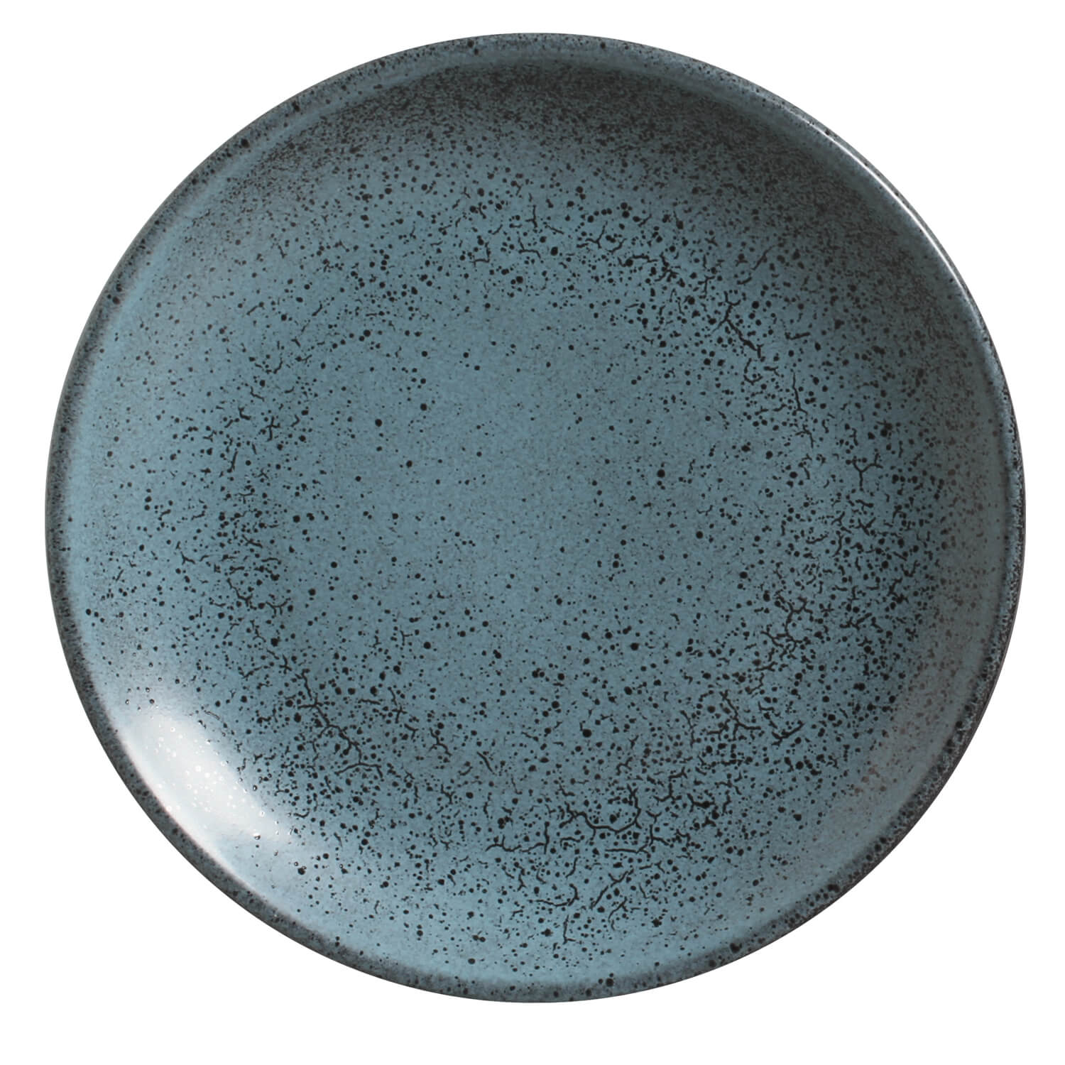 Coup Dinner Plate 26.5cm Night Sky
