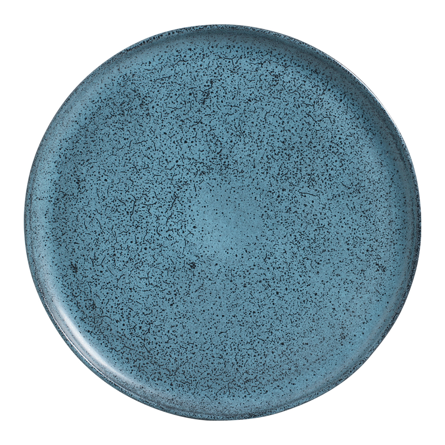 Bio Dinner Plate 27.5cm Night Sky