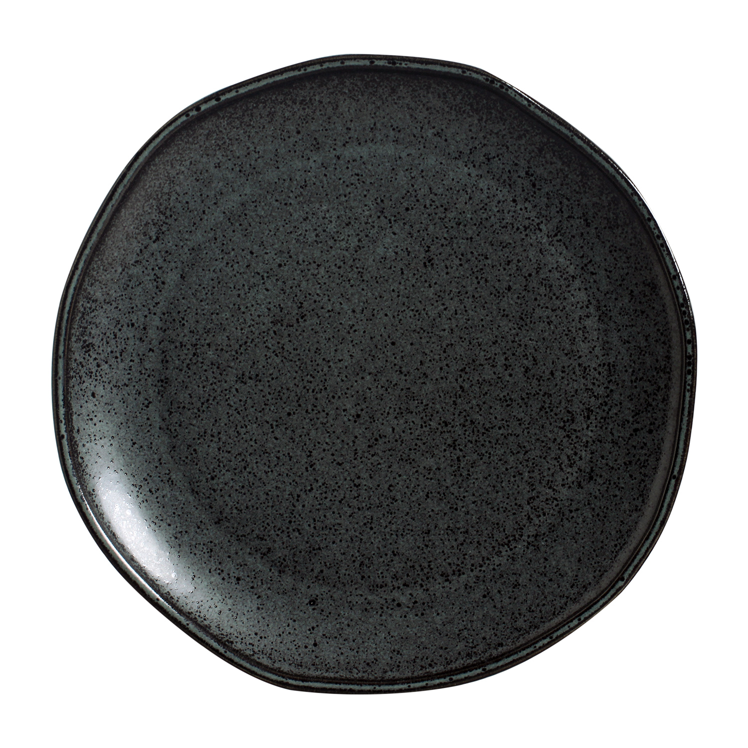 Daily Dinner Plate 25cm Intense