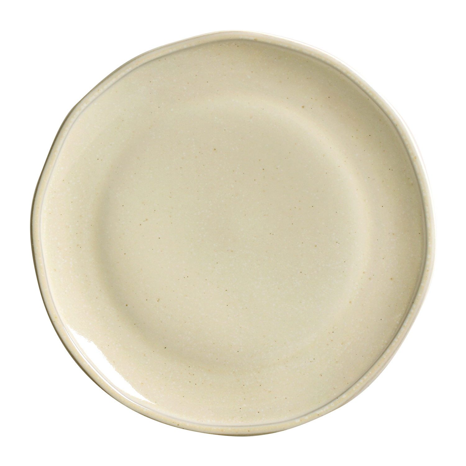 Daily Dinner Plate 25cm Shiny