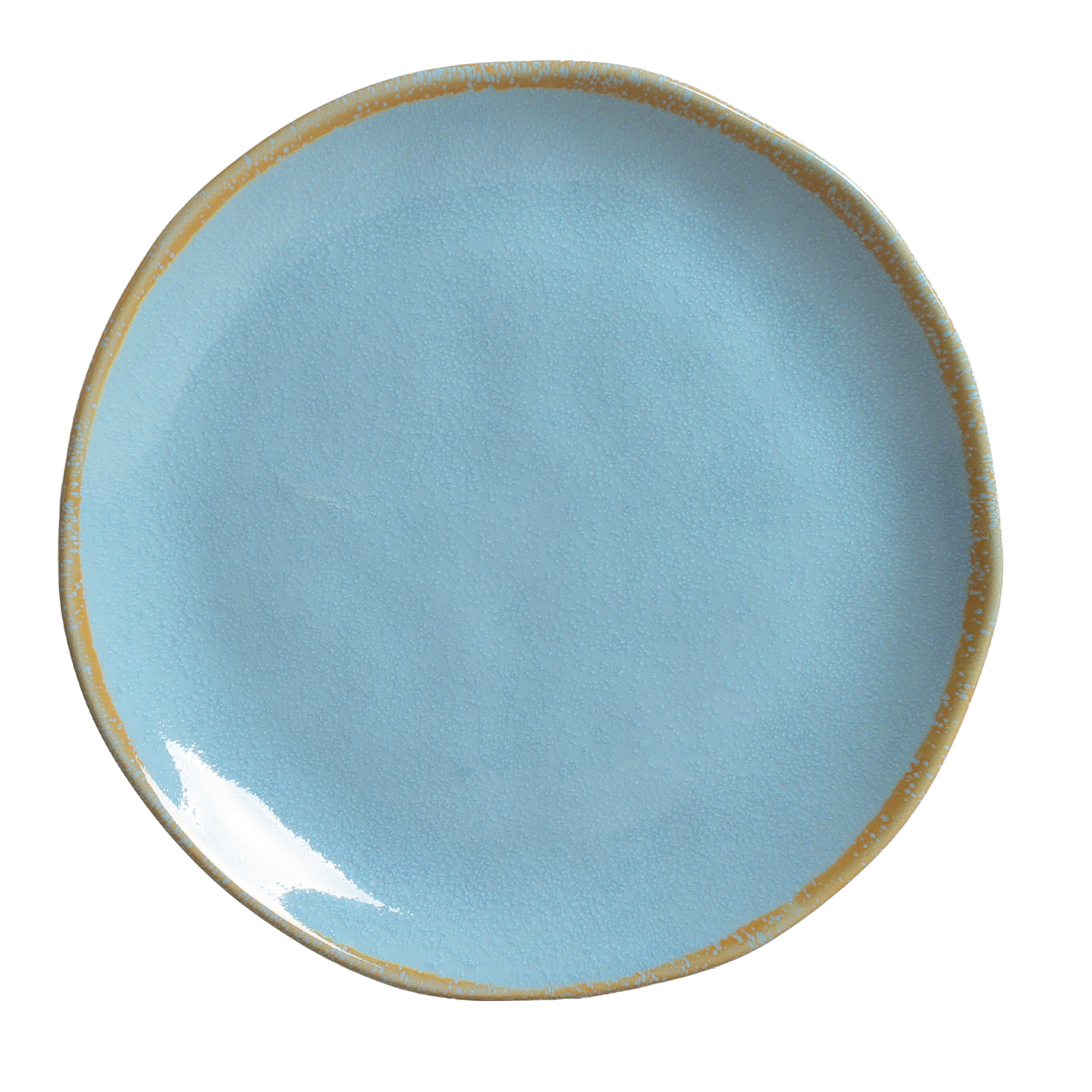 Organic Dinner Plate 26.5cm Noite Polar