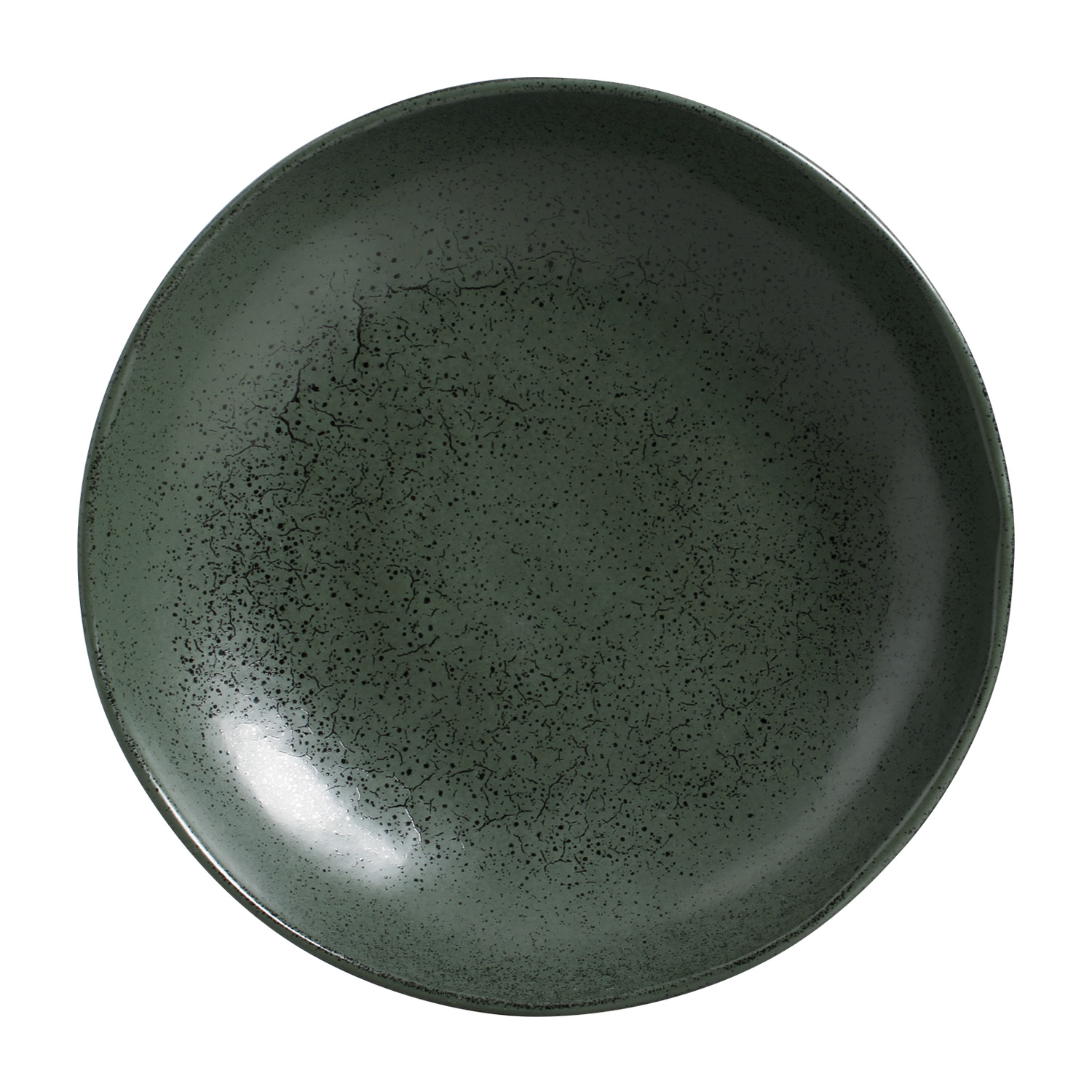Bio Soup Plate / Bowl 22.5cm Greenery