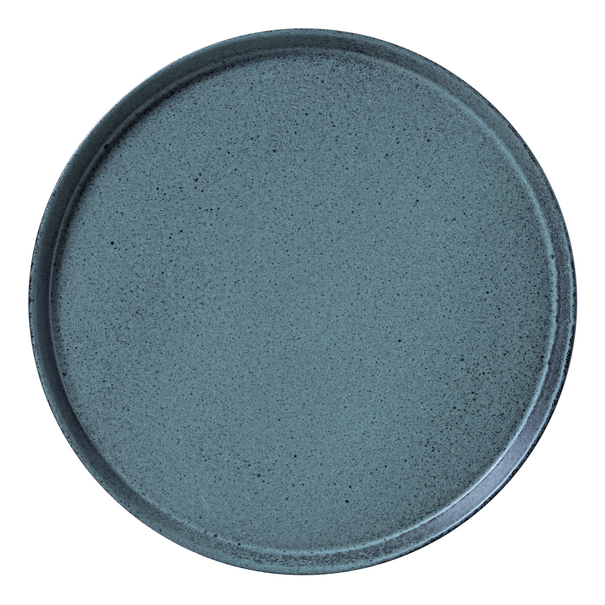 Neo Dinner Plate 27cm Night Sky